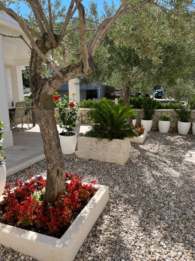 Apartman Stipic 1 Baska Voda Exterior photo